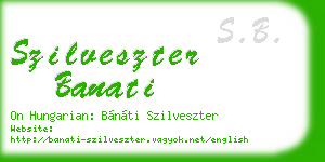 szilveszter banati business card
